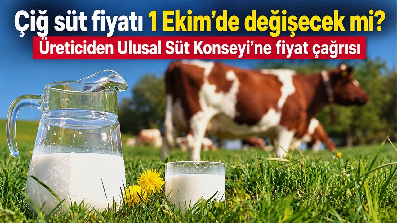 Çiğ süt fiyatı 1 Ekim'de değişecek mi? Üreticiden Ulusal Süt Konseyi'ne fiyat çağrısı