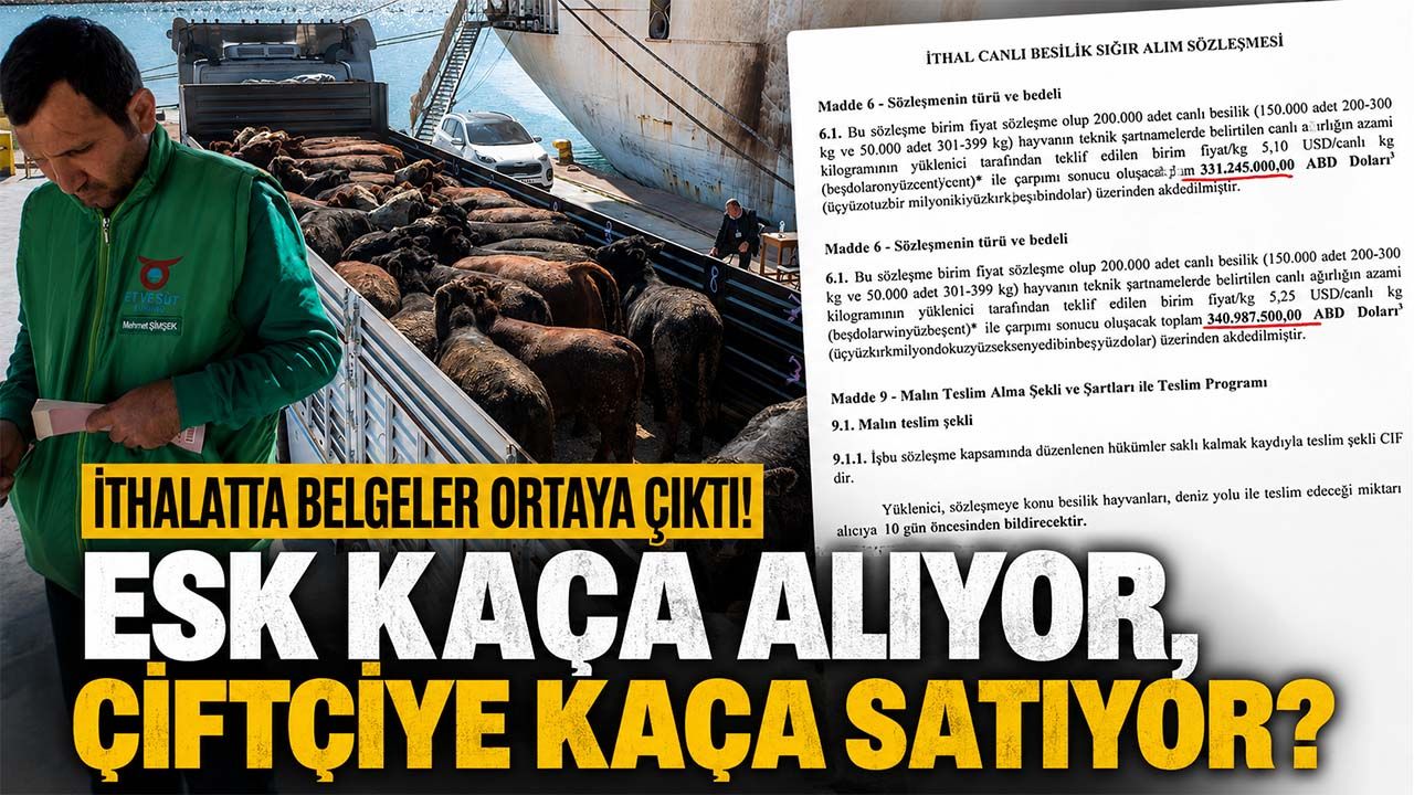 Besilik sığır ithalatında belgeler ortaya çıktı! ESK kaça alıyor, çiftçiye kaça satıyor?
