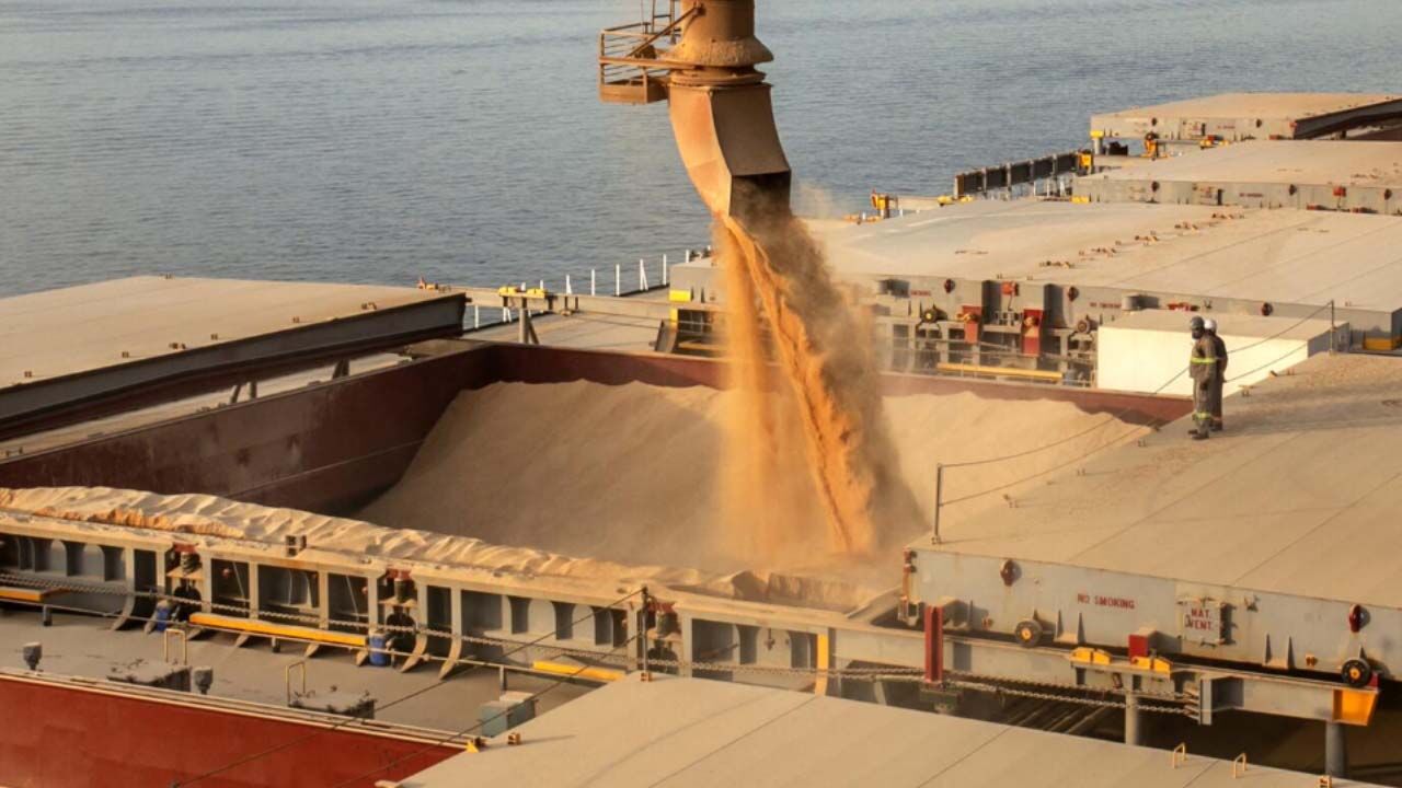GDO’lu 3 mısır ve 1 soya çeşidinin yem amaçlı ithalat izni 10 yıl uzatıldı