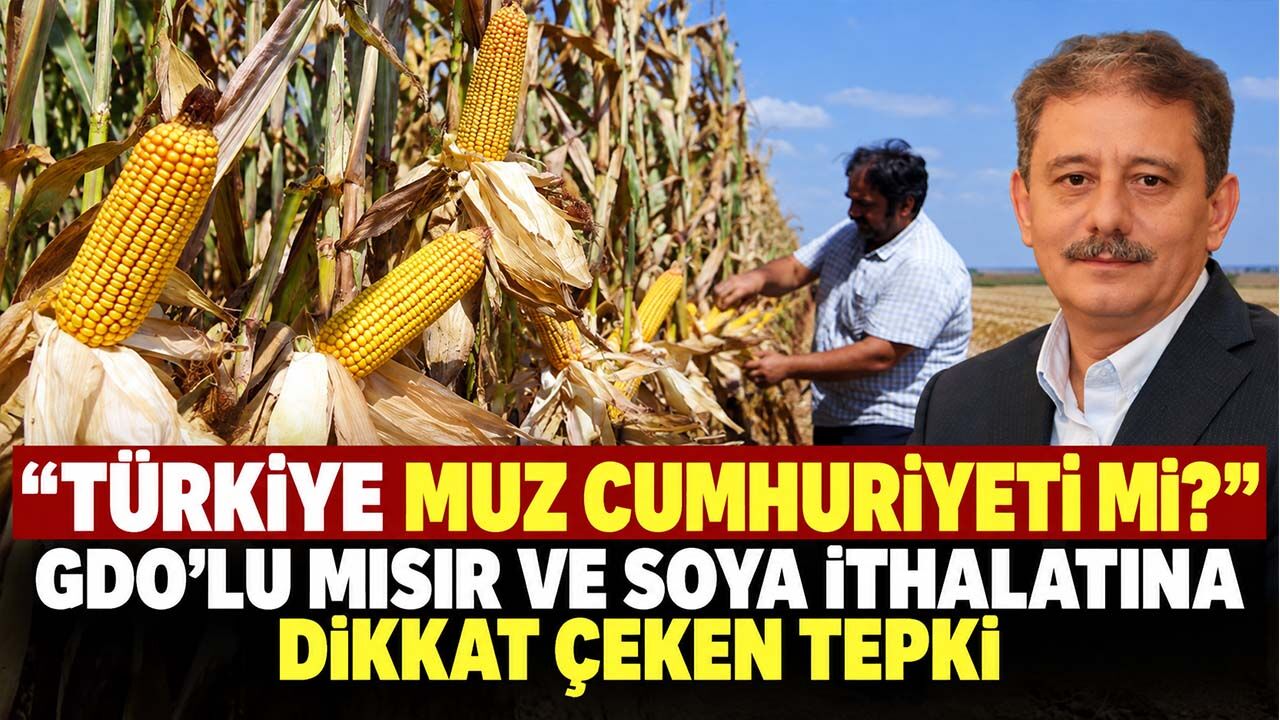 “Türkiye muz cumhuriyeti mi?” GDO’lu mısır ve soya ithalatına dikkat çeken tepki