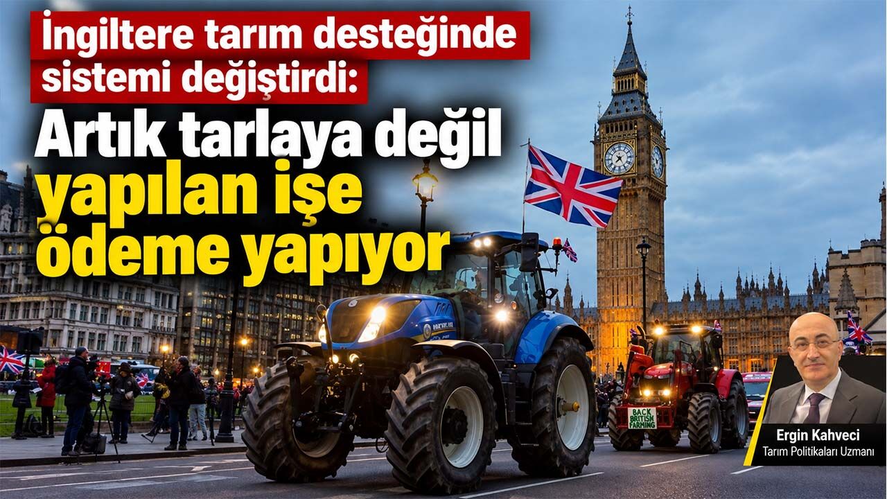 İngiltere tarım desteğinde sistemi değiştirdi: Artık tarlaya değil yapılan işe ödeme yapıyor