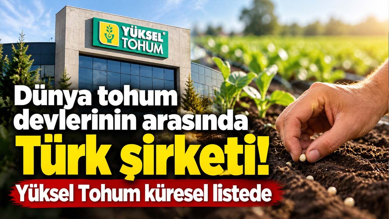 Küresel hibrit sebze tohumu pazarında Türk şirketi! Yüksel Tohum dünya devleriyle aynı listede
