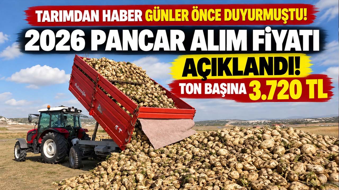 2026 pancar alım fiyatı açıklandı! Tarımdan Haber günler önce duyurmuştu