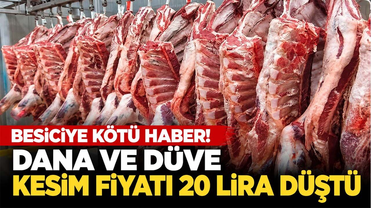 Et kesim fiyatları 2026 | Güncel karkas et, dana ve kuzu kesim fiyatları