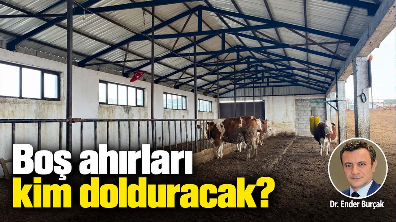 Boş ahırları kim dolduracak?