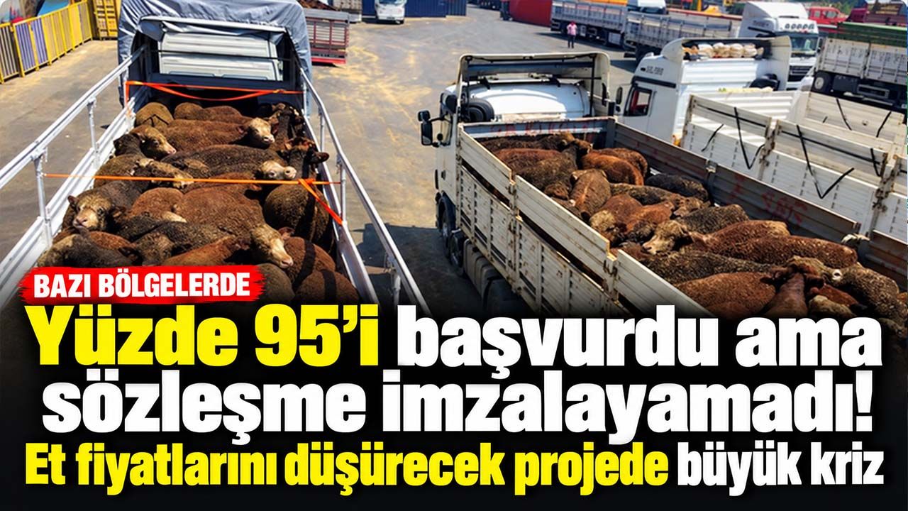 Yüzde 95'i başvurdu ama sözleşme imzalayamadı! Et fiyatlarını düşürecek projede büyük kriz