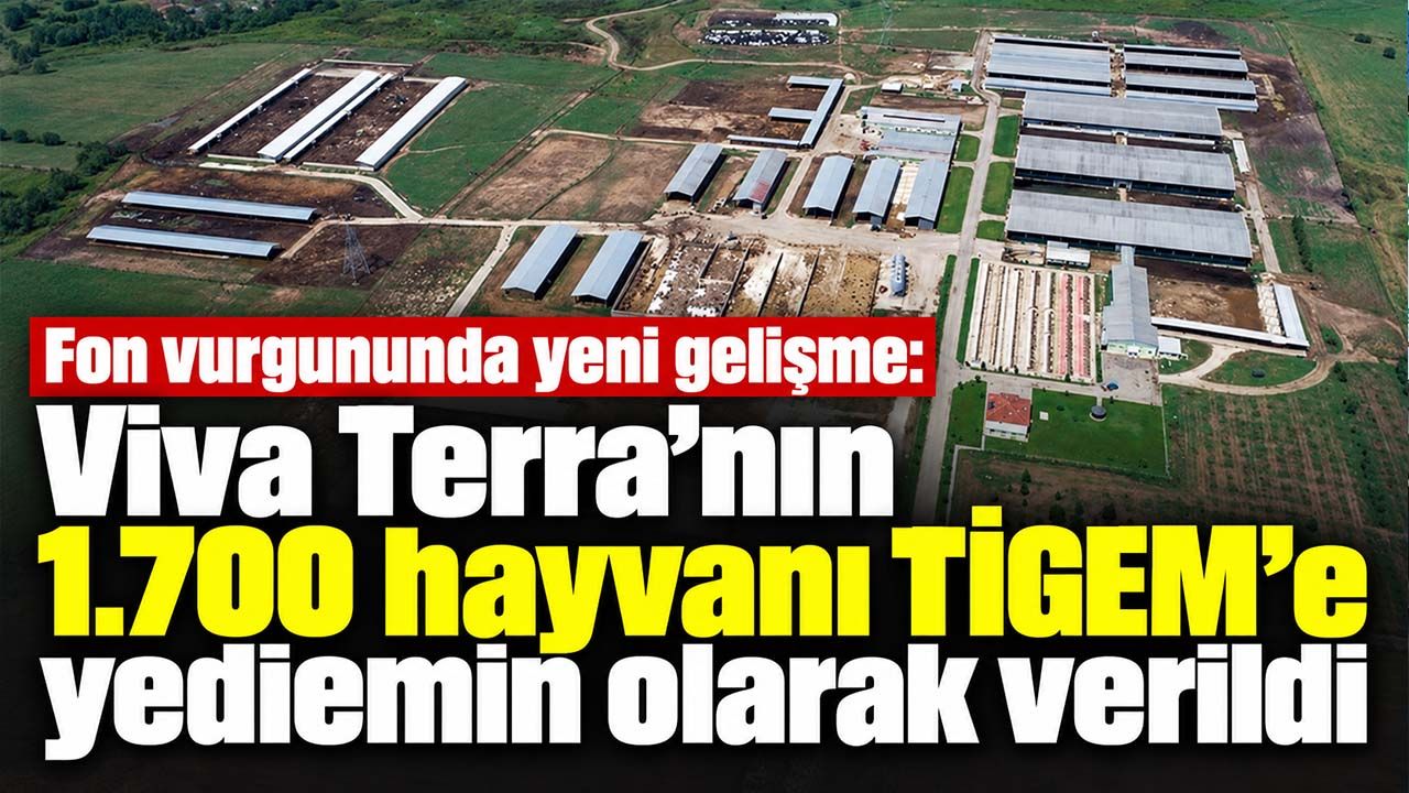 Fon vurgununda yeni gelişme: Viva Terra’nın 1.700 hayvanı TİGEM’e yediemin olarak verildi