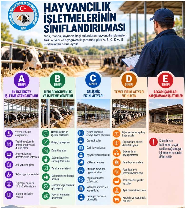 Hayvancilik Isletmesi Siniflandirma