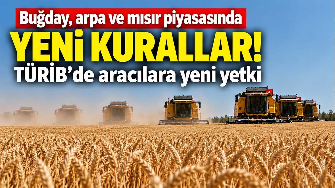 Buğday, arpa ve mısır piyasasında yeni kurallar! TÜRİB'de aracılara yeni yetki