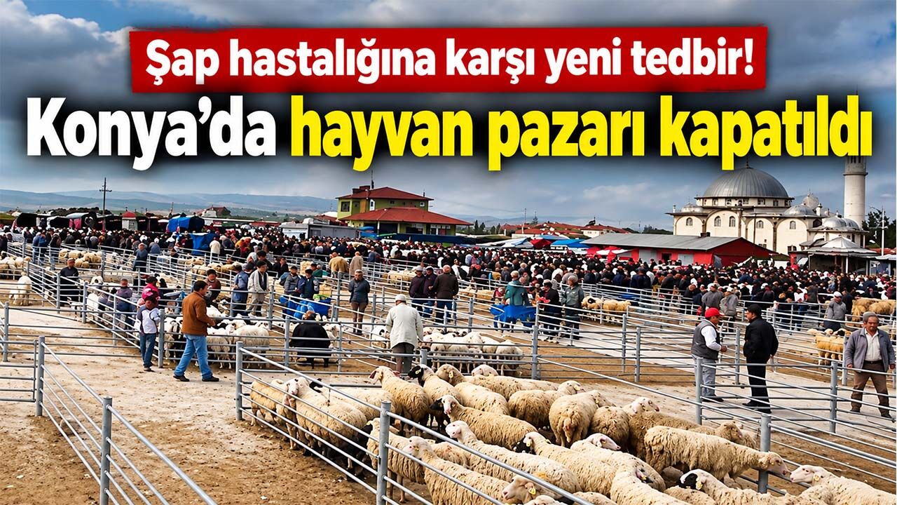 Şap hastalığına karşı yeni tedbir! Konya’da hayvan pazarı kapatıldı