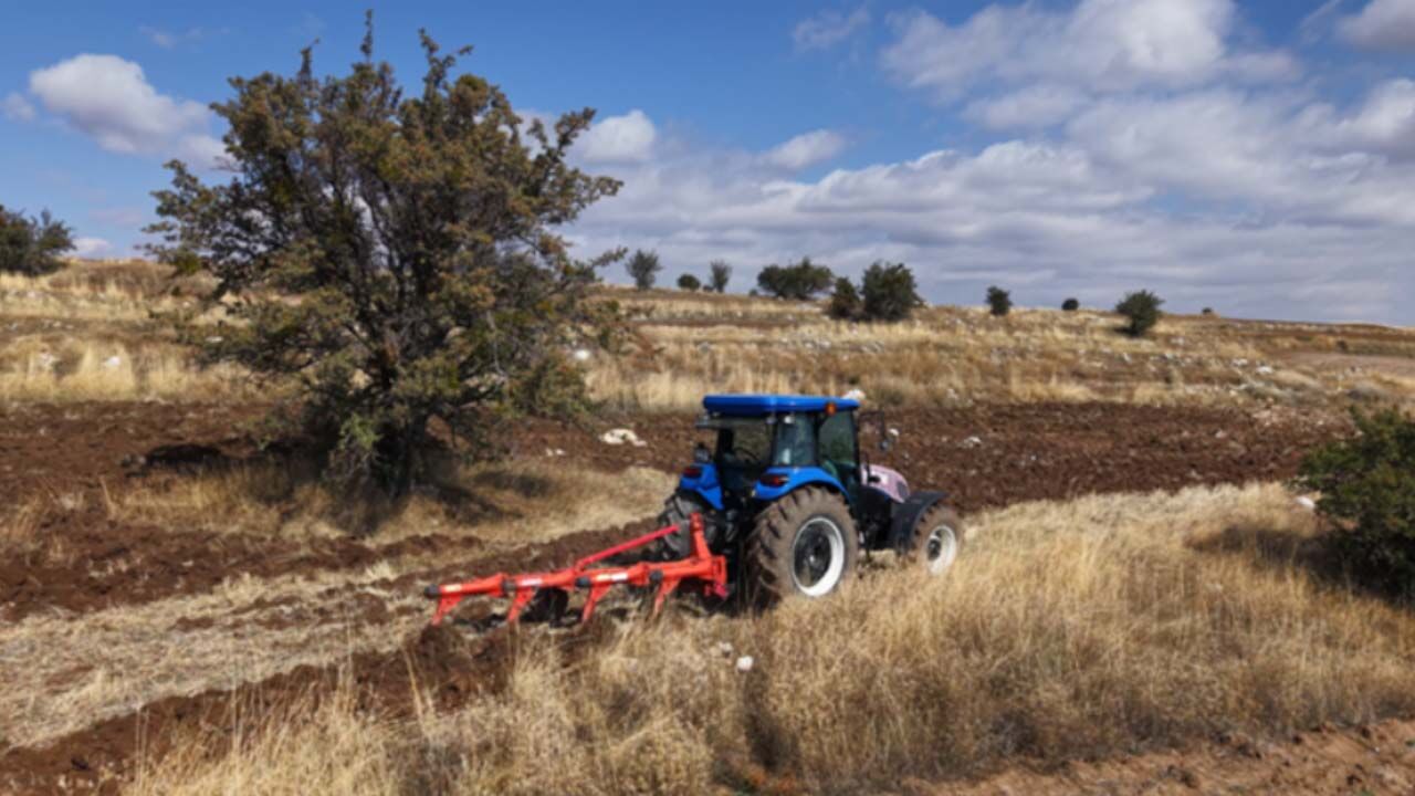 Tarlasını 2 yıl boş bırakanlar dikkat! Bakanlık kiraya vermeye başladı