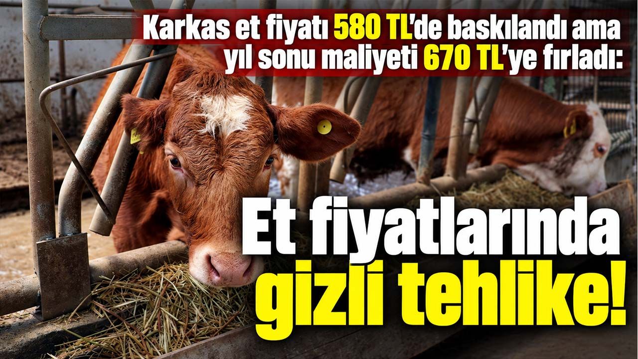 Karkas et fiyatı 580 TL'de baskılandı ama yıl sonu maliyeti 670 TL'ye fırladı: Et fiyatlarında gizli tehlike!