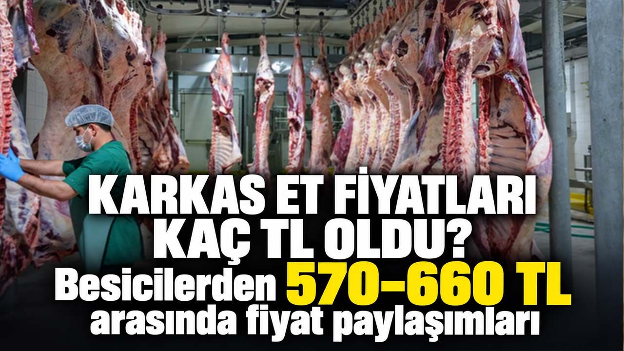 Karkas et fiyatlarında son durum: Çorum’da 660 TL paylaşımı, iller arasında dikkat çeken fark