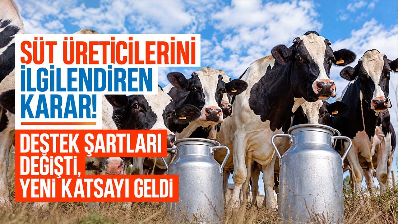 Çiğ süt desteğinde yeni karar! Üreticiye ilave 0,3 katsayı, 1 Ocak'tan itibaren geçerli